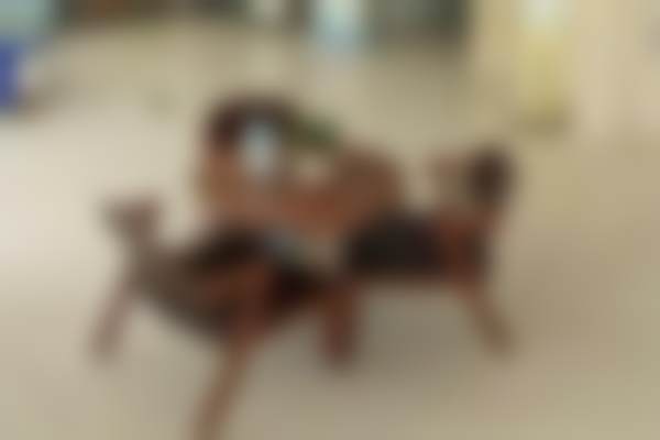 安阳滑县牙病防治所（滑县口腔医院瑞尔分院）地址及乘车路线