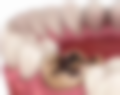 深圳奢侈美口腔电话号码