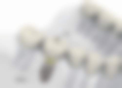 上海缔诗齿科·缔矢口腔门诊部营业时间