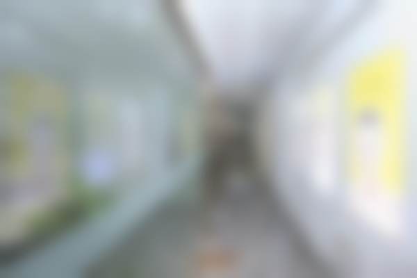 漳州芗城呀哚口腔诊所（香格里拉总店）口碑怎么样