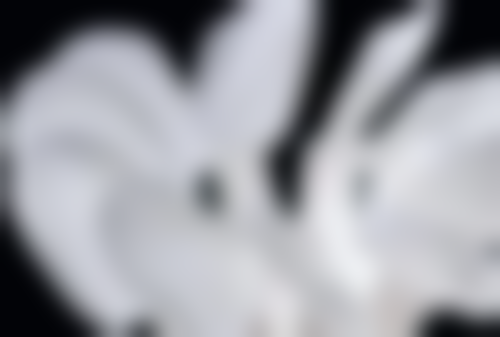 在孩子换牙期间矫正地包天，家长需要做些什么？