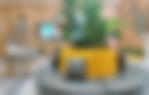 西安杏仁口腔美容门诊部真实实例