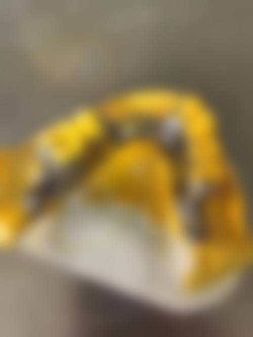 陕西榆林琦白白口腔门诊部真实实例