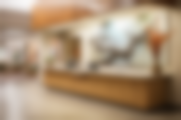 宁德市中医院口腔科