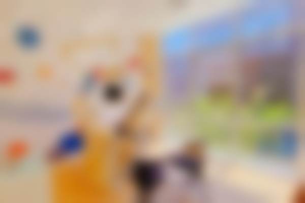 天津南开君诚口腔门诊部医生名单及实力