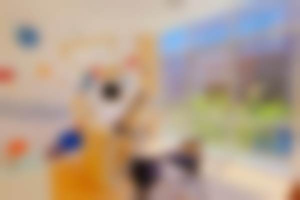 天津南开君诚口腔门诊部价格表