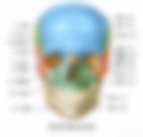 惠州博罗惠康口腔价格表：透明合理的收费标准