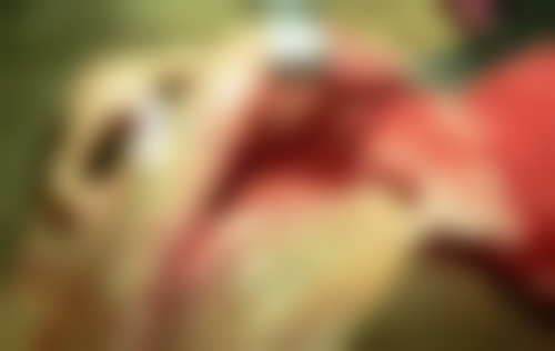 运城嘉悦周颖口腔的医院简介