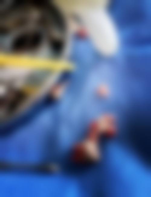 厦门维恩君格口腔门诊部营业时间