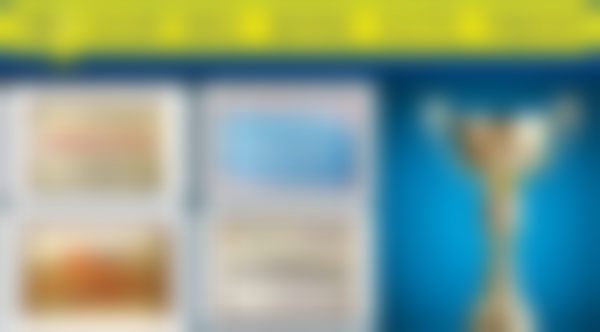 林鑫医生擅长的项目