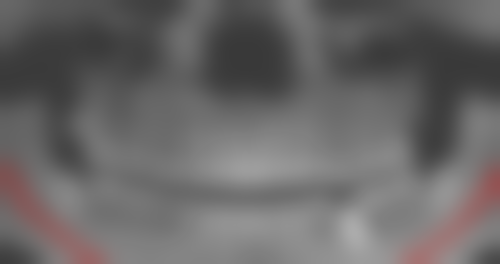 总结与决策建议