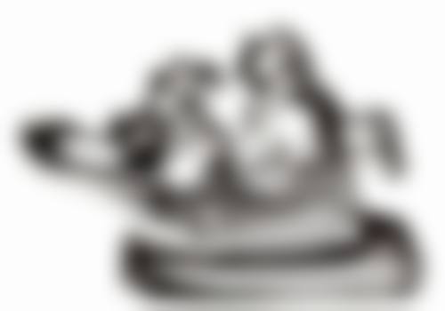 湖南省脑科医院(湖南省第二人民医院)口腔科擅长项目