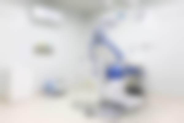 Maria Costanza Soldini荣誉资质