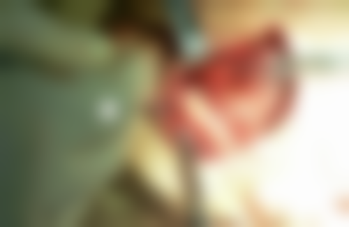 广东肇庆德庆雅之美口腔诊所执业信息