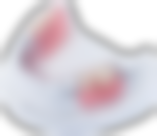 西双版纳竹子口腔门诊部擅长项目