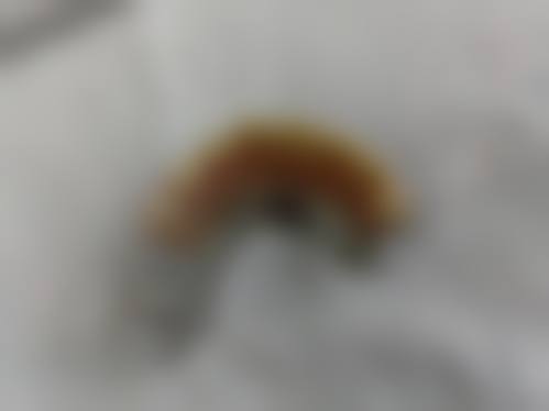 西双版纳竹子口腔门诊部地址及乘车路线