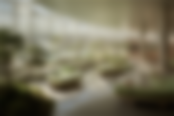 伊宁福宏林口腔医院