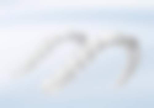 昆山康齿丽口腔门诊部医生名单