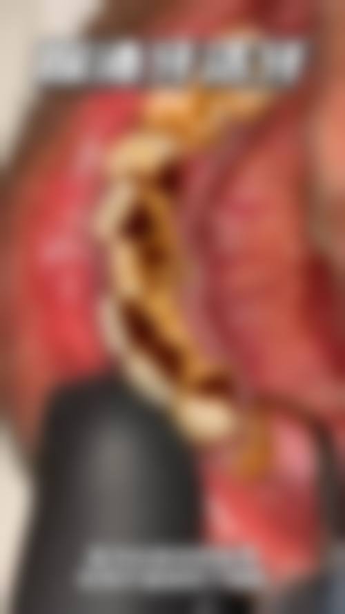 广东惠州牙洁仕口腔执业信息