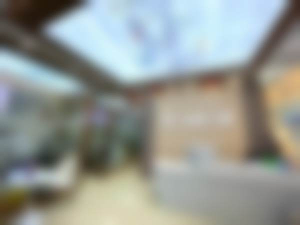 东莞虎门佰康口腔门诊部执业信息