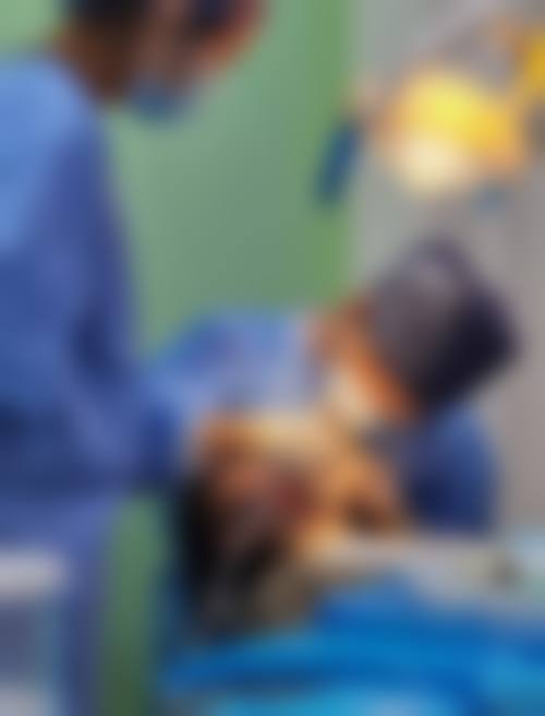 深圳周一口腔诊所擅长项目：满足多样口腔需求