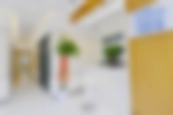 上海张玉春口腔诊所擅长项目