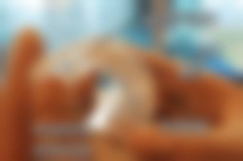 莆田仙游县郊尾镇牙博仕口腔门诊部仪器设备