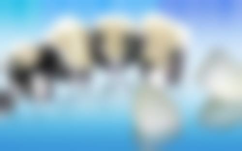 黑龙江大庆伊格口腔医生名单
