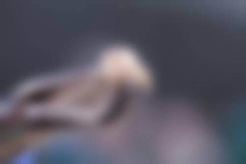 瑞泰口腔（西宸天街门诊）执业信息