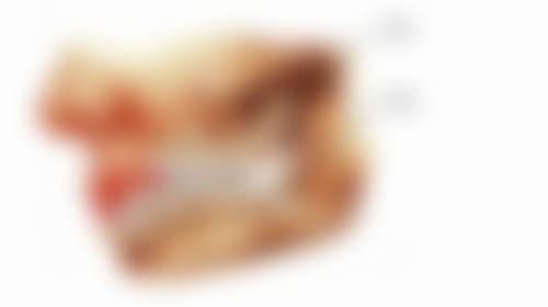 兰州康美齿科连锁的透明收费体系与性价比分析