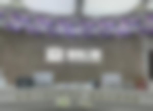 总结与建议